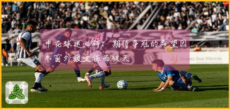 申花球迷心碎：期待争冠的希望因冬窗外援受伤而破灭