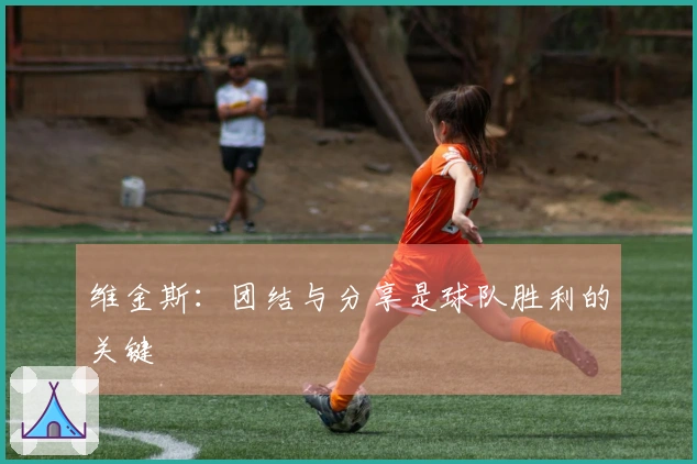 维金斯：团结与分享是球队胜利的关键